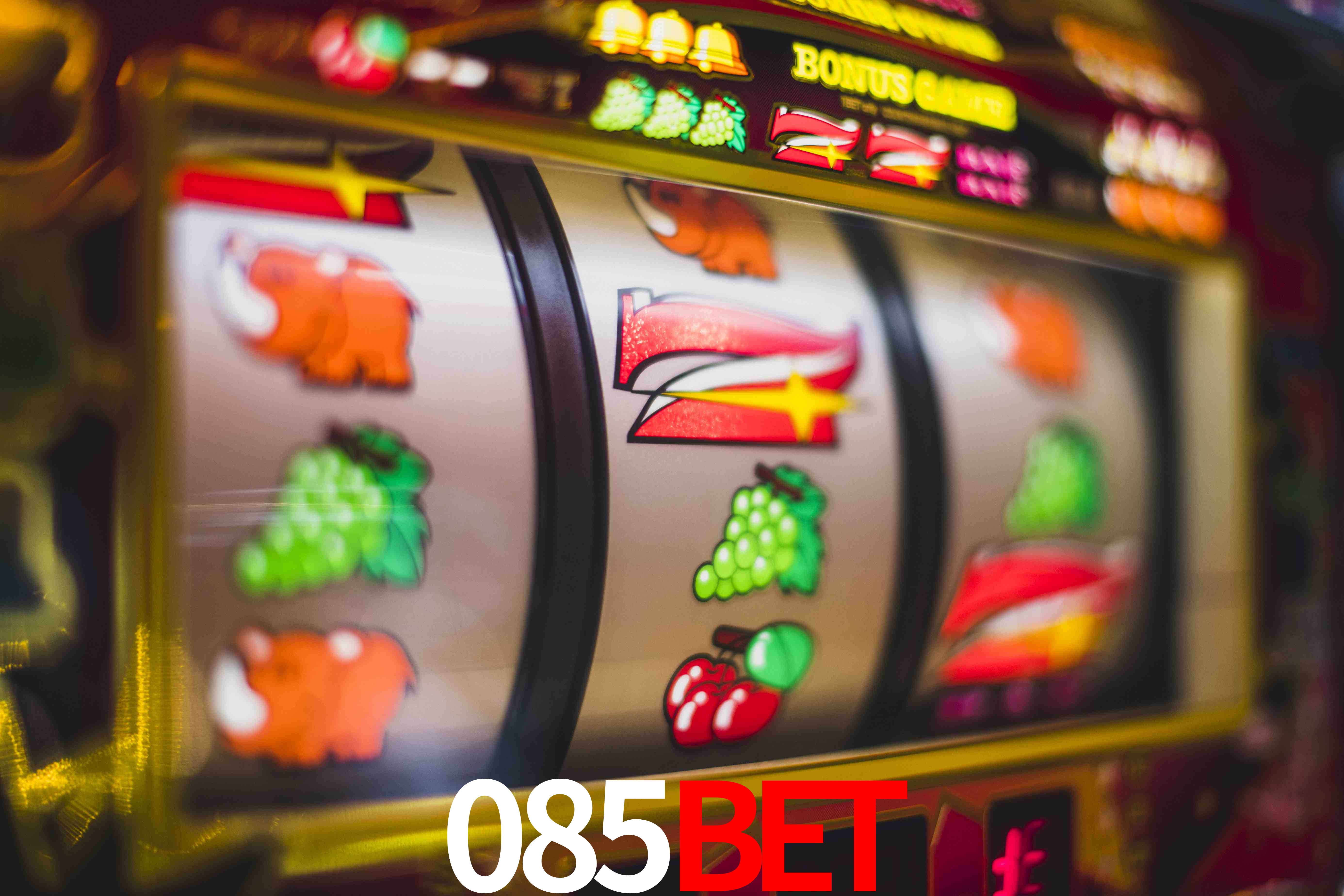 Sports Statistics 085bet